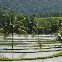 Photo de Bali - Banjar et Gitgit